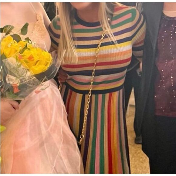 Boden Ribbed Metallic Multicolor Women's US Size 4P - Picture 3 of 9